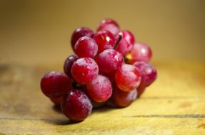 犬がぶどうを食べると中毒になる？ 危険性を解説します