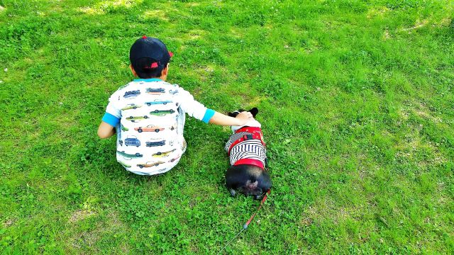 家族の生活に無理が生じないか