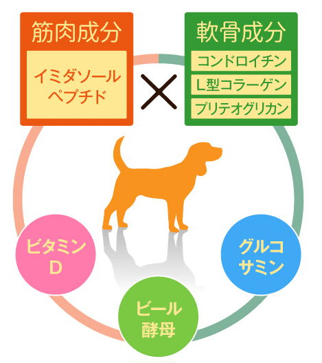その他にも愛犬の関節ケアを考えた成分が沢山！