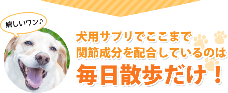 犬用サプリでここまで関節成分を配合しているのは毎日散歩だけ！