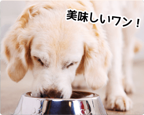 ワンちゃんが大好きなチキン味
