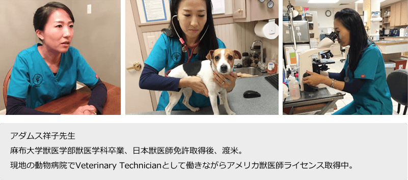 アダムス祥子先生