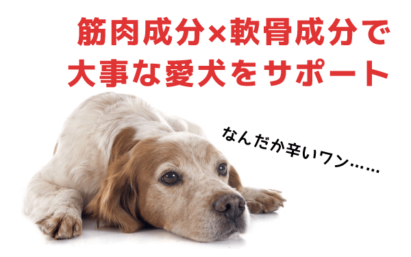 筋肉成分×軟骨成分で大事な愛犬をサポート
