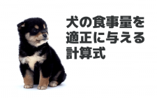 犬の食事量を適正に与える計算式