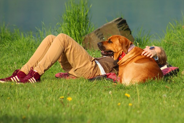 愛犬と旅行 持ち物リストを作ってみよう
