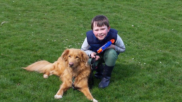 犬のいる家で、子どもが友だちと遊びたがるなら。