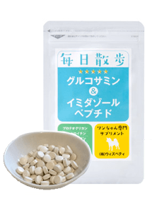 毎日散歩