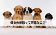 犬の年齢の数え方、早見表公開! 犬の年齢の数え方、早見表公開!