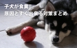 子犬が食糞!原因とすぐ出来る対策まとめ 子犬が食糞!原因とすぐ出来る対策まとめ