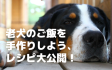 老犬のご飯(フード)を手作りしよう、レシピ大公開! 老犬のご飯(フード)を手作りしよう、レシピ大公開!